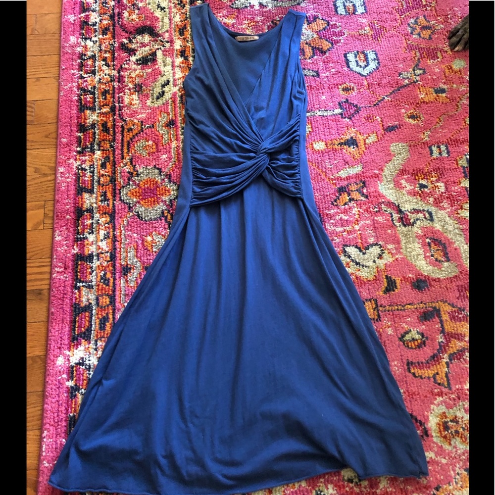 Blue Velvet brand dress